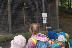 IMG_20250527_105517